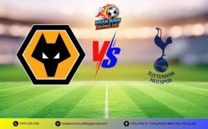Nhận Định Wolverhampton Wanderers vs Tottenham Hotspur